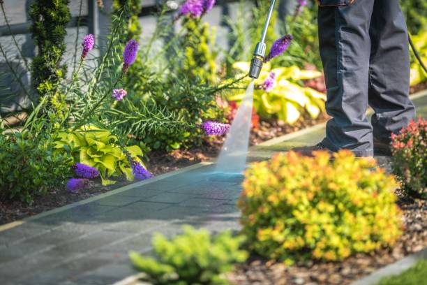 Avalon, NJ Pressure Washing Services Company